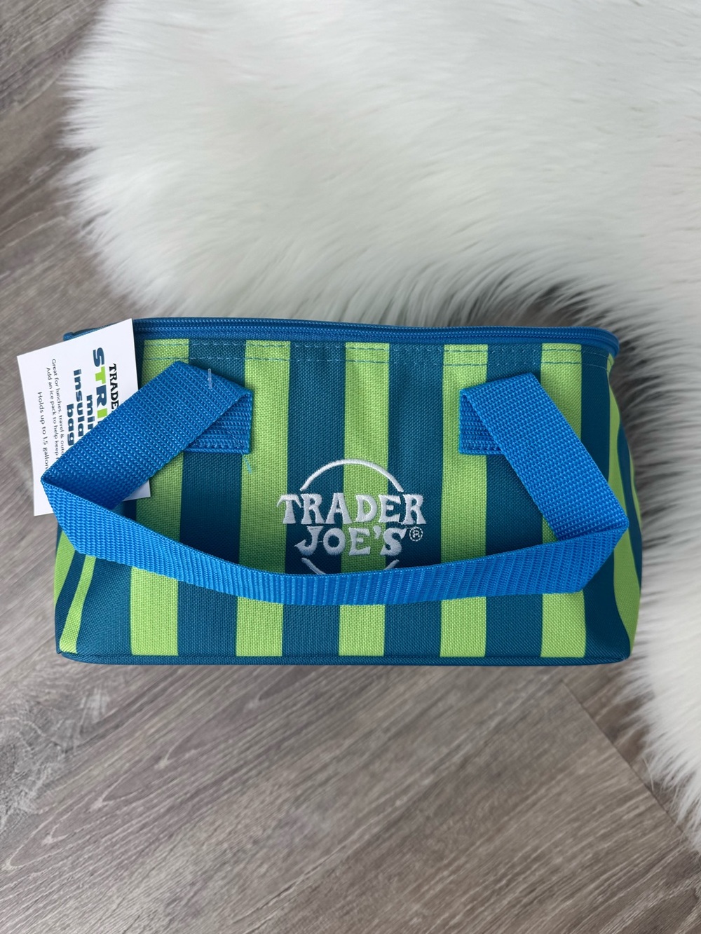 💙💚Trader Joe's Striped Mini Insulated Bag - Blue & Lime Green